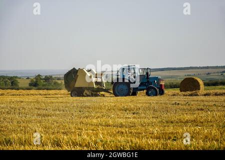 Tractor forming large round bales with straw. Harvested field with large round bales of straw in summer. Farmland with blue sky. Stock Photo