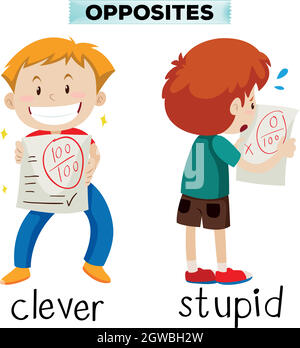 Opposite words for clever and stupid Stock Vector