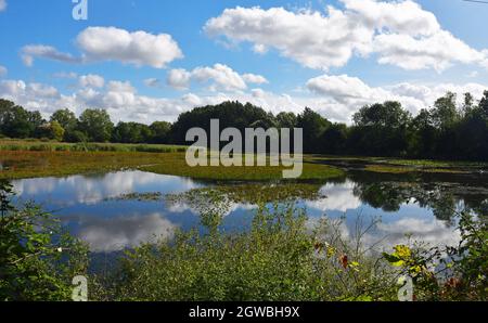 Paxton Pits Nature Reserve, Little Paxton, Cambridgeshire, UK Stock Photo