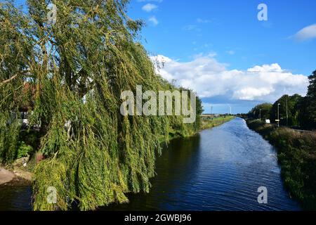 River running through Ramsey St Marys, Huntingdonshire, Cambridgeshire, UK Stock Photo