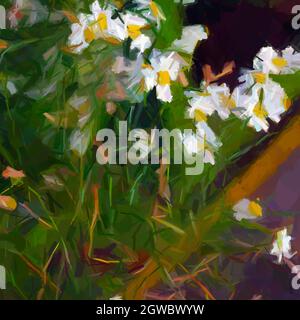 Abstract Daisies floral background, digital painting Stock Photo