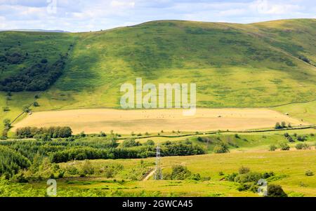 View over  Langholm Moore Scotland  with farmland and tractor collecting hay bales in the distance Stock Photo