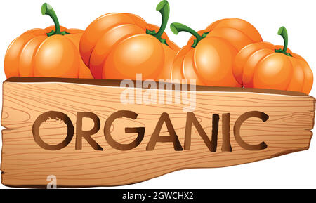 Organic sign with pumpkins Stock Vector