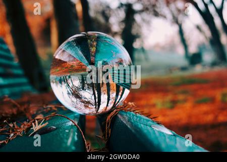 Close-up Of Crystal Ball On Bench During Autumn