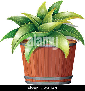 An aloe vera plant in pot Stock Vector