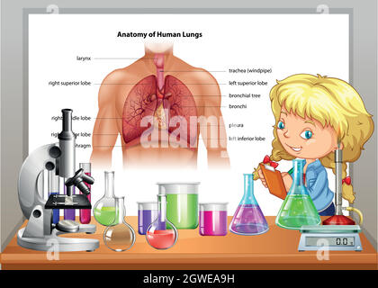 Girl learning in science class Stock Vector