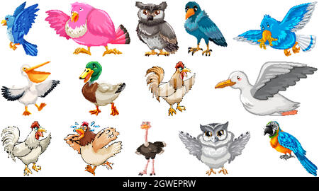 Set of different birds cartoon style isolated on white background Stock Vector