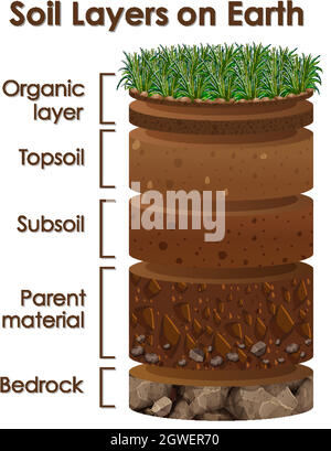 Diagram showing soil layers on earth Stock Vector