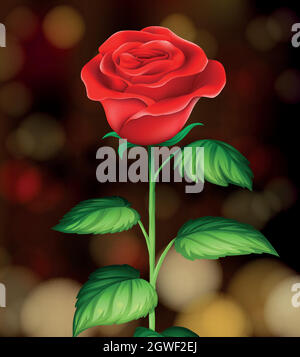 A Beautiful Red Rose Background Stock Vector