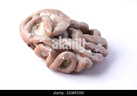 Buiten adem Wederzijds Meisje Boiled Pig intestine on white dish in asia Stock Photo - Alamy