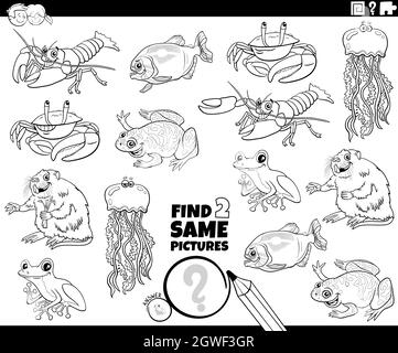 find two same animals task coloring book page Stock Vector