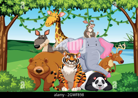 Wild animals in the forest Stock Vector