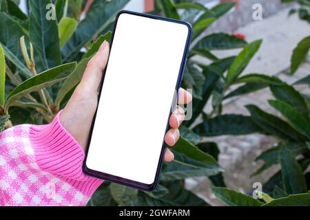 Mockup image of closeup woman hand holding mobile phone with blank white desktop screen at the outdoor. Green leaves in the background. Stock Photo