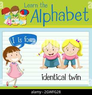 Flashcard letter I is for identical twin Stock Vector