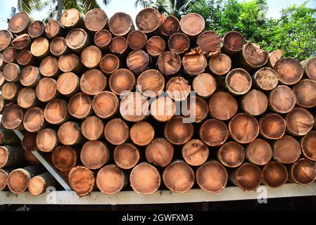 pile of logs in a truck Stock Photo