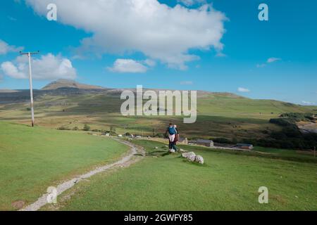 Walkers on Twistleton Lane, a roman road, with landscape views of Ingleborough peak and White Scar Cave in the Yorkshire Dales Stock Photo