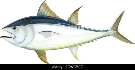 Atlantic bluefin tuna Stock Vector