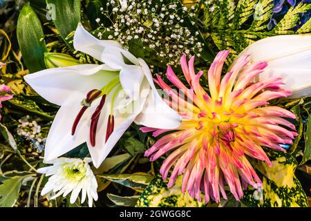 Flower Festival at St Peter's  Church, Budleigh Salterton, September 2021. Stock Photo