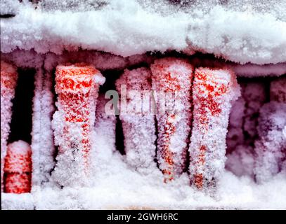 Medical research blood samples in freezer Stock Photo