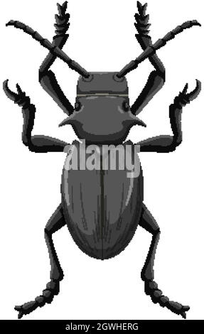 Cactus Beetle isolated on white background Stock Vector