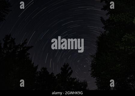 Star trails over forest at night in Canada Stock Photo