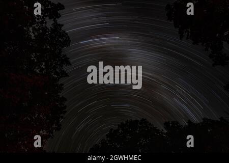 Star trails over forest at night in Canada Stock Photo