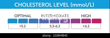 Cholesterol level meter indicator. Medical speedometer. Chat control concept presentation Stock Vector