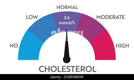 Cholesterol level meter indicator. Medical speedometer. Chat control concept presentation Stock Vector