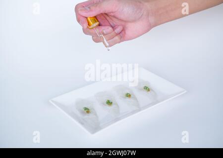 Hand decorating sashimi on white plate on white background. Isolated on white. Making sushi. Japanese traditional food. Raw white fish. for the menu Stock Photo