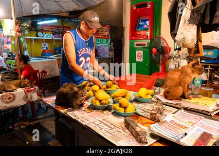 The cat sits on the table near the plates with mangoes. Bangkok, Thailand- 02.06.2020 Stock Photo