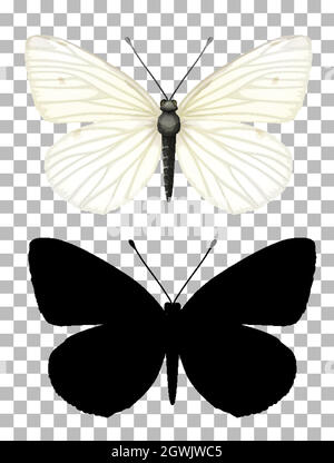 Butterfly and its silhouette on transparent background Stock Vector