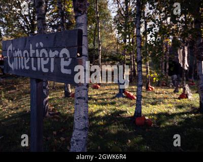 Pumpkins in forest. Cemetery in French. Halloween and autumn harvest. Season and background. Stock Photo