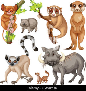 Different types of wild animals on white background Stock Vector