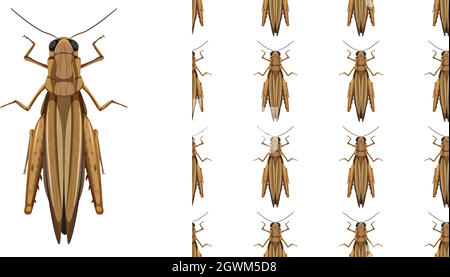 Grasshopper insects isolated on white background and seamless Stock Vector