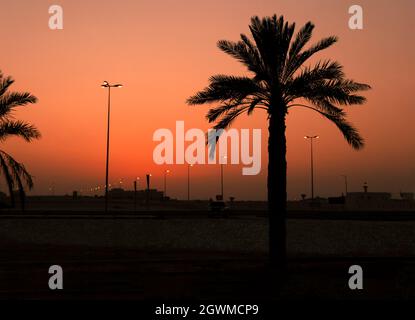 Palm Tree And Street Lights In Dark Sunset. Photo Taken From Bahrain Asker Beach. Beautiful Landscape Stock Photo