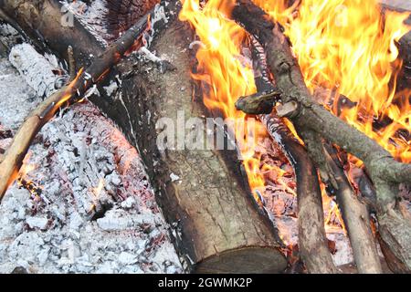 Wood on fire in a fire pit. Stock Photo
