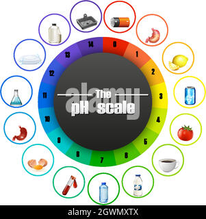 The pH scale on white background Stock Vector