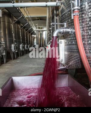 Winery producing wine, Grape ju in tank. Wine fermentation tanks. Wine fermentation process Red grapes in fermentation tank. Pouring wine from a tank. Stock Photo