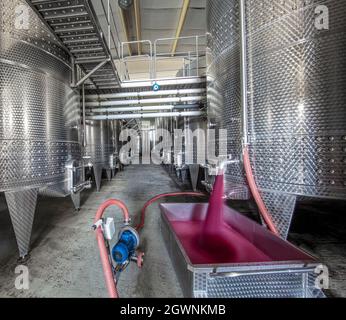 Winery producing wine, Grape ju in tank. Wine fermentation tanks. Wine fermentation process Red grapes in fermentation tank. Pouring wine from a tank. Stock Photo