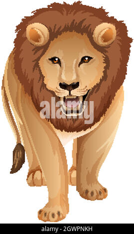 Front of adult lion in standing position on white background Stock Vector