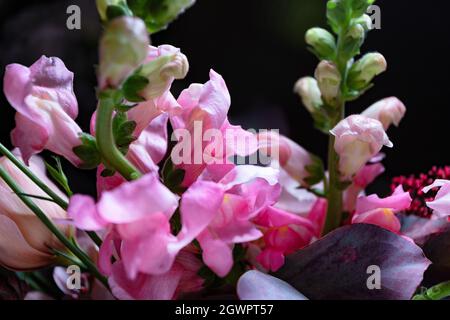 Bouquet of roses and gartens flowers close-up on black background with shallow depth of field and blurred background Stock Photo
