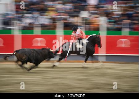 Larraga, Spain. 03rd Oct, 2021. Pablo Hermoso de Mendoza, fights on the back of his horse, in the bullring of Larraga. Credit: SOPA Images Limited/Alamy Live News Stock Photo