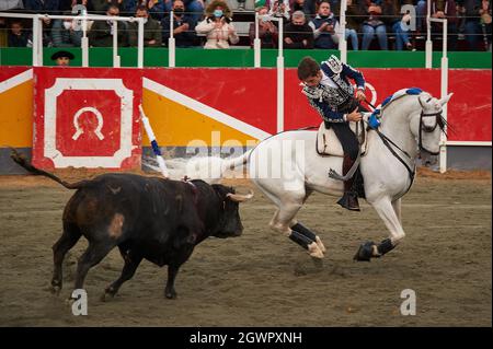 Larraga, Spain. 03rd Oct, 2021. Guillermo Hermoso de Mendoza, 22 years old, fights a bull from the back of his horse in Larraga. Credit: SOPA Images Limited/Alamy Live News Stock Photo