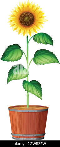 A Sun Flower Plant in Pot Stock Vector