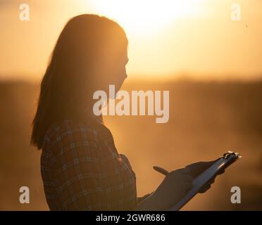 Portrait of young woman standing in field at sunset. Attractive agronomist holing clipboard taking notes. Stock Photo