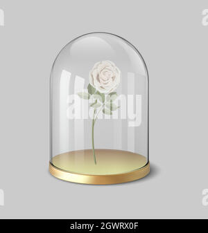 Rose in a flask of glass on the white background. Realistic Vector illustration. Stock Vector