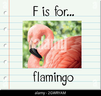 Flashcard letter F is for flamingo Stock Vector