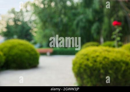 Blurred view of beautiful landscape design Stock Photo