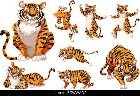 Set of tiger cartoon character Stock Vector