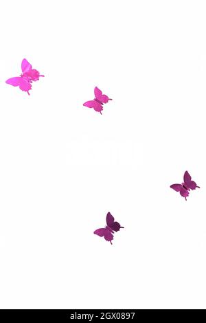 Purple shiny stickers of butterflies on a white background. Stock Photo